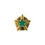 08040018 Звезда на погоны пласт. 14 мм Росприроднадзор