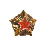 08040021 Звезда пласт 20 мм Таможня 