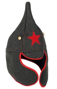 Буденовка серая