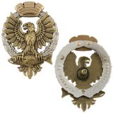 20 01 0064 Значок мет. За заслуги перед Елизово